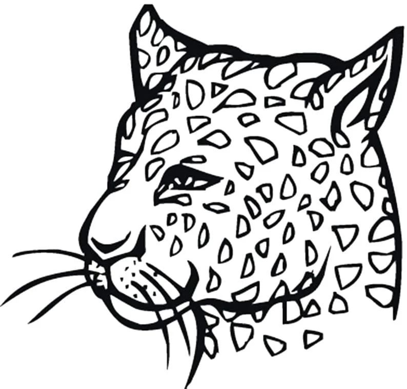 Çocuklar İçin Leopar Boyama Sayfaları 
