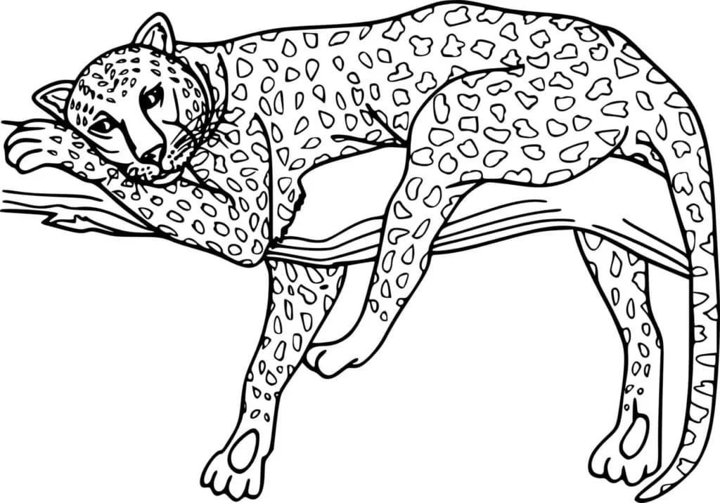 Çocuklar İçin Leopar Boyama Sayfaları 