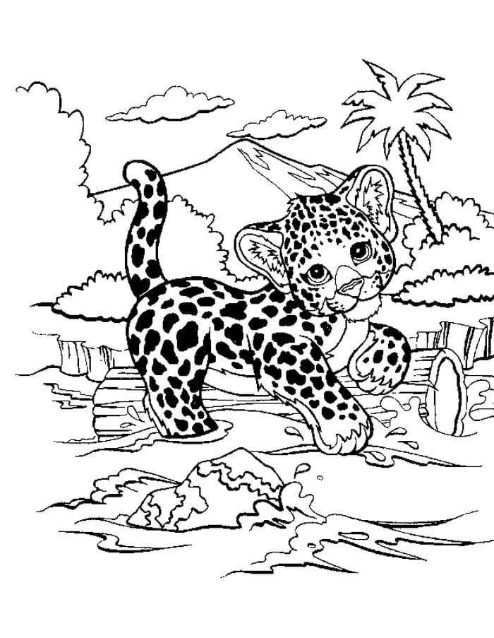Çocuklar İçin Leopar Boyama Sayfaları 