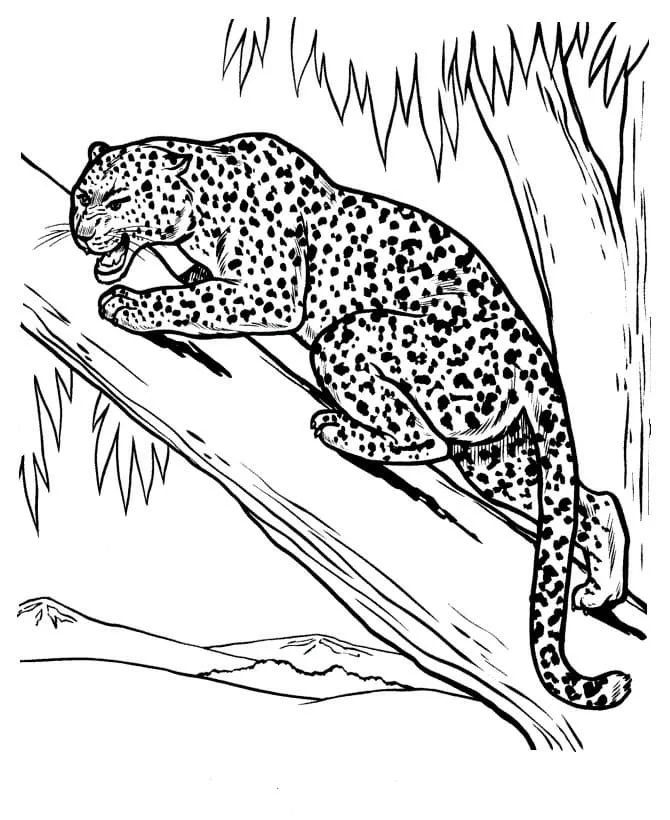 Çocuklar İçin Leopar Boyama Sayfaları 