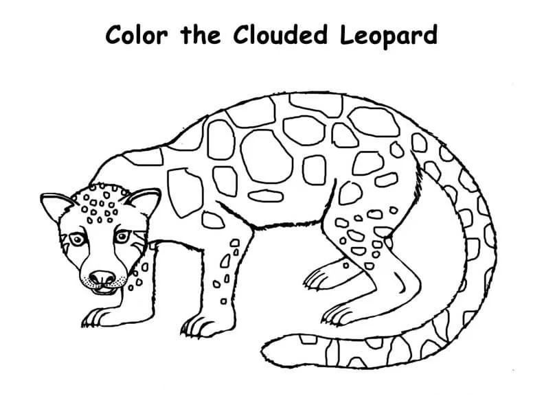 Çocuklar İçin Leopar Boyama Sayfaları 