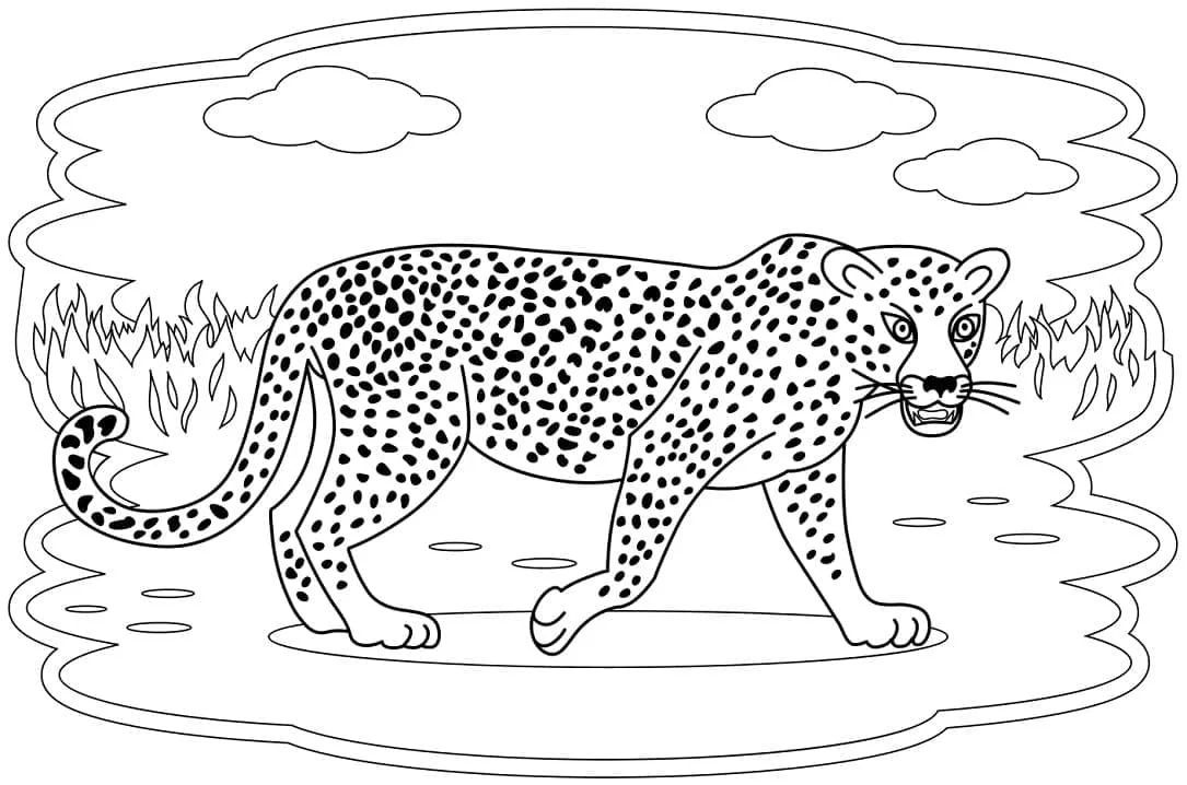 Çocuklar İçin Leopar Boyama Sayfaları 