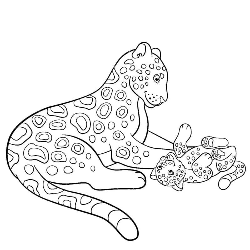 Çocuklar İçin Leopar Boyama Sayfaları 