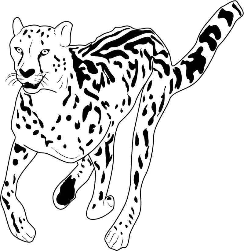 Çocuklar İçin Leopar Boyama Sayfaları 
