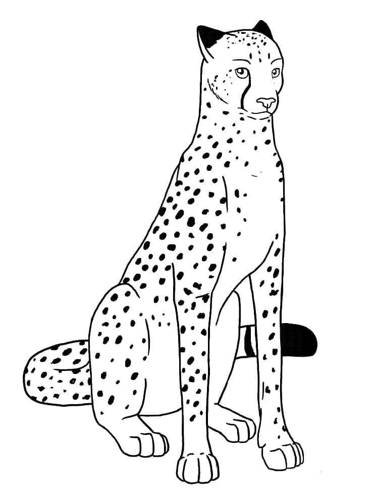 Çocuklar İçin Leopar Boyama Sayfaları 