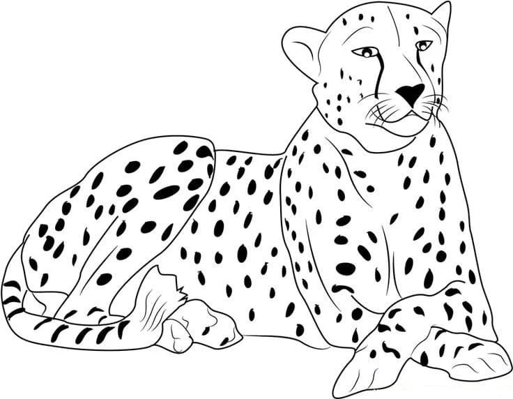 Çocuklar İçin Leopar Boyama Sayfaları 