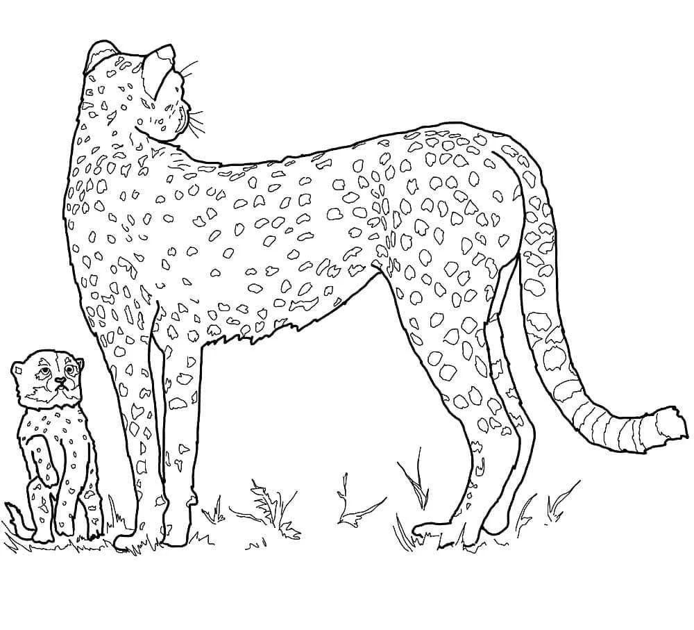 Çocuklar İçin Leopar Boyama Sayfaları 