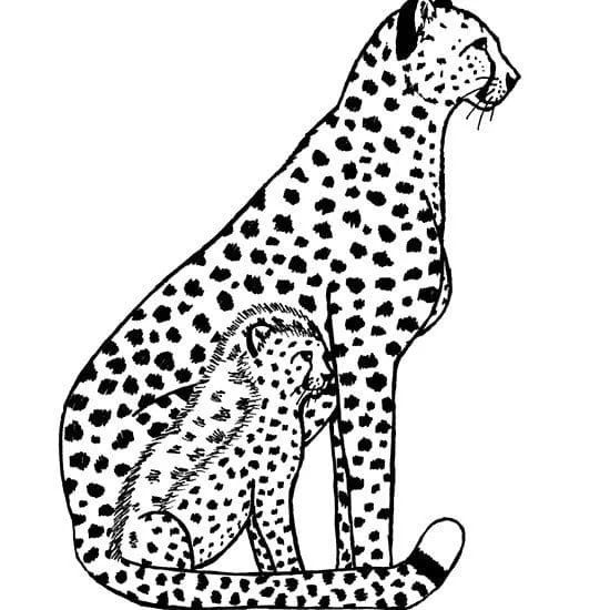 Çocuklar İçin Leopar Boyama Sayfaları 