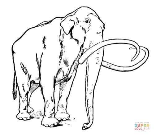 Çocuklar İçin Mamut Boyama Sayfaları 