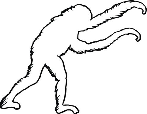 Çocuklar İçin Orangutan Boyama Sayfaları 