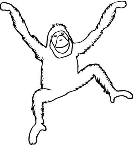Çocuklar İçin Orangutan Boyama Sayfaları 