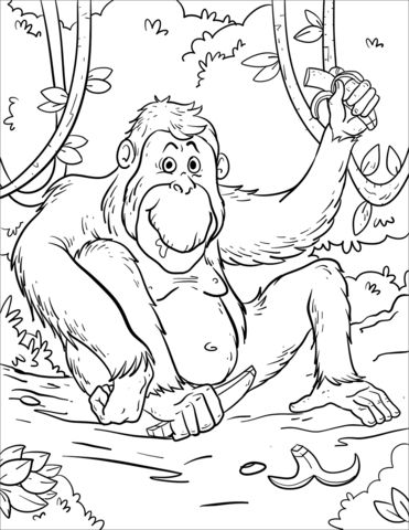 Çocuklar İçin Orangutan Boyama Sayfaları 