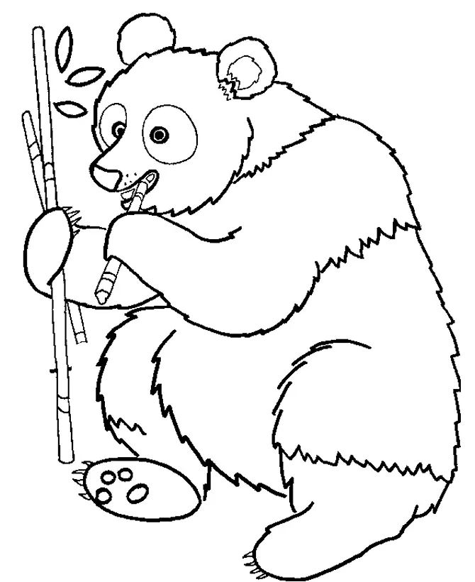 Çocuklar İçin Panda Boyama Sayfaları 