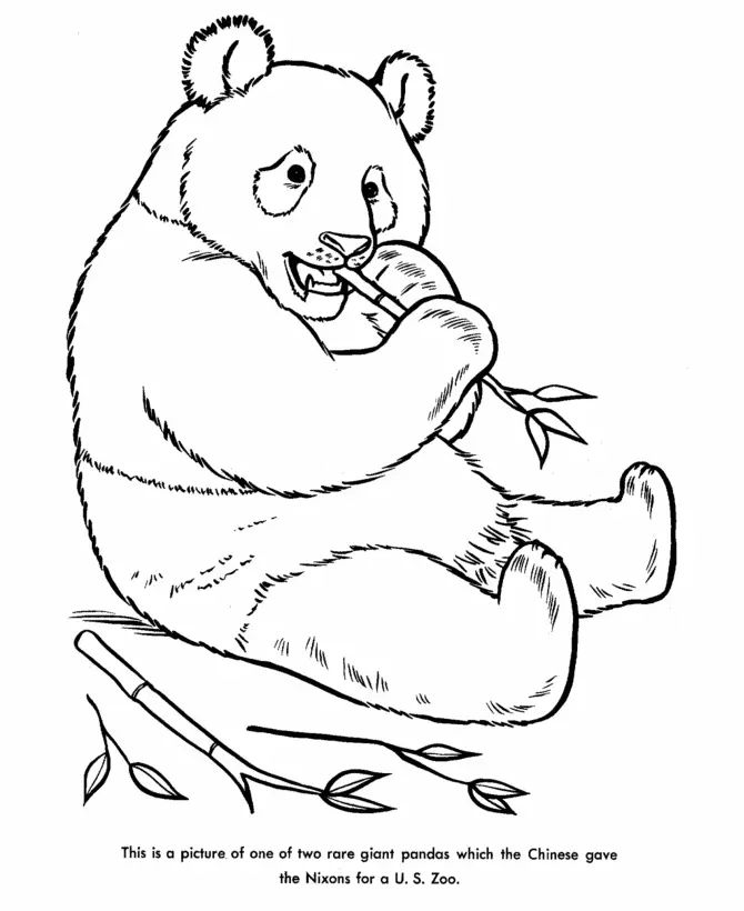 Çocuklar İçin Panda Boyama Sayfaları 