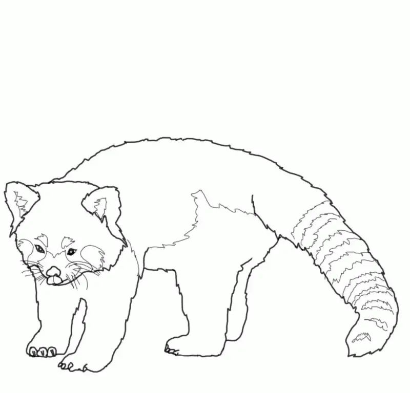 Çocuklar İçin Panda Boyama Sayfaları 