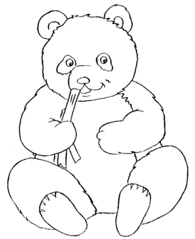 Çocuklar İçin Panda Boyama Sayfaları 