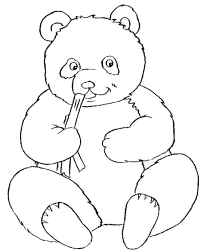 Çocuklar İçin Panda Boyama Sayfaları 