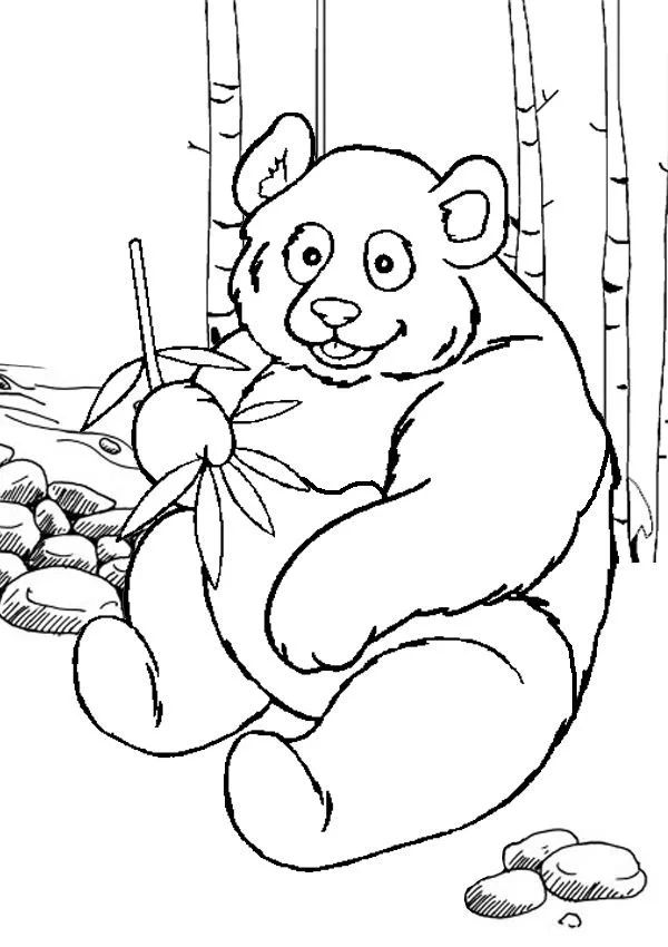 Çocuklar İçin Panda Boyama Sayfaları 