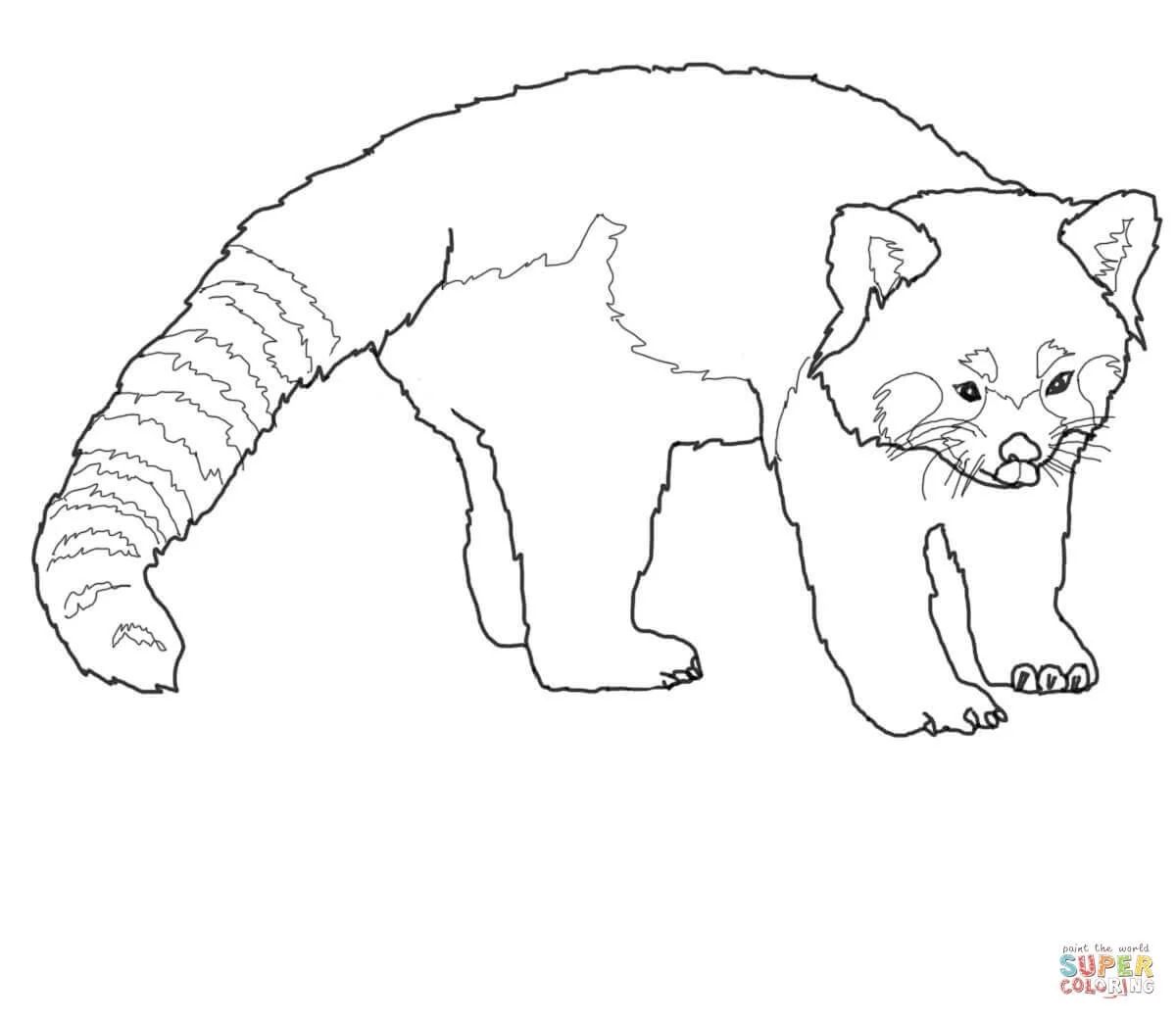 Çocuklar İçin Panda Boyama Sayfaları 