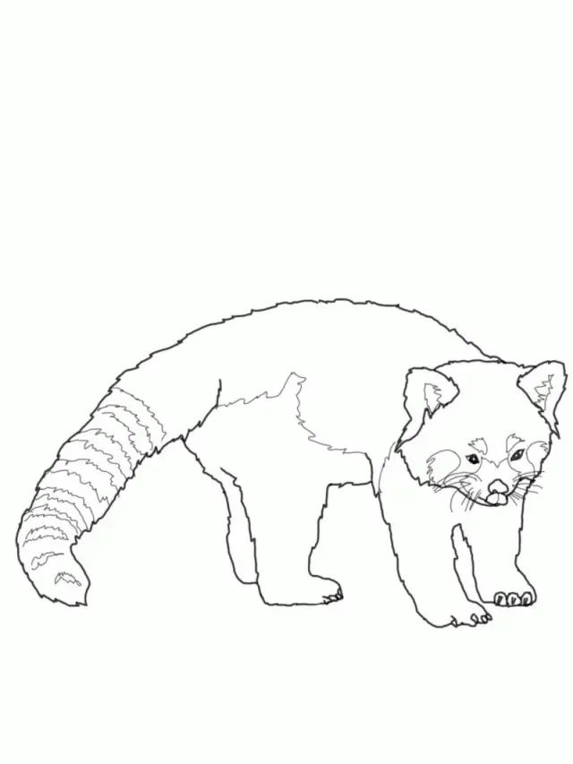 Çocuklar İçin Panda Boyama Sayfaları 