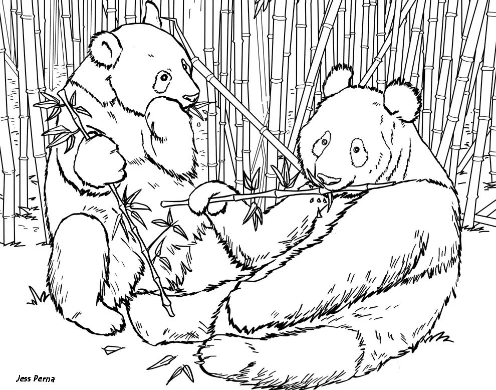 Çocuklar İçin Panda Boyama Sayfaları 