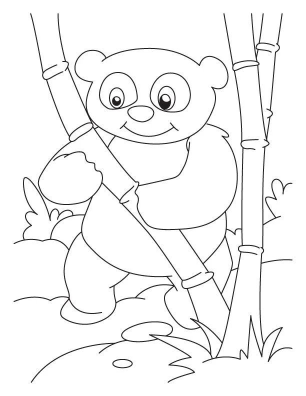 Çocuklar İçin Panda Boyama Sayfaları 