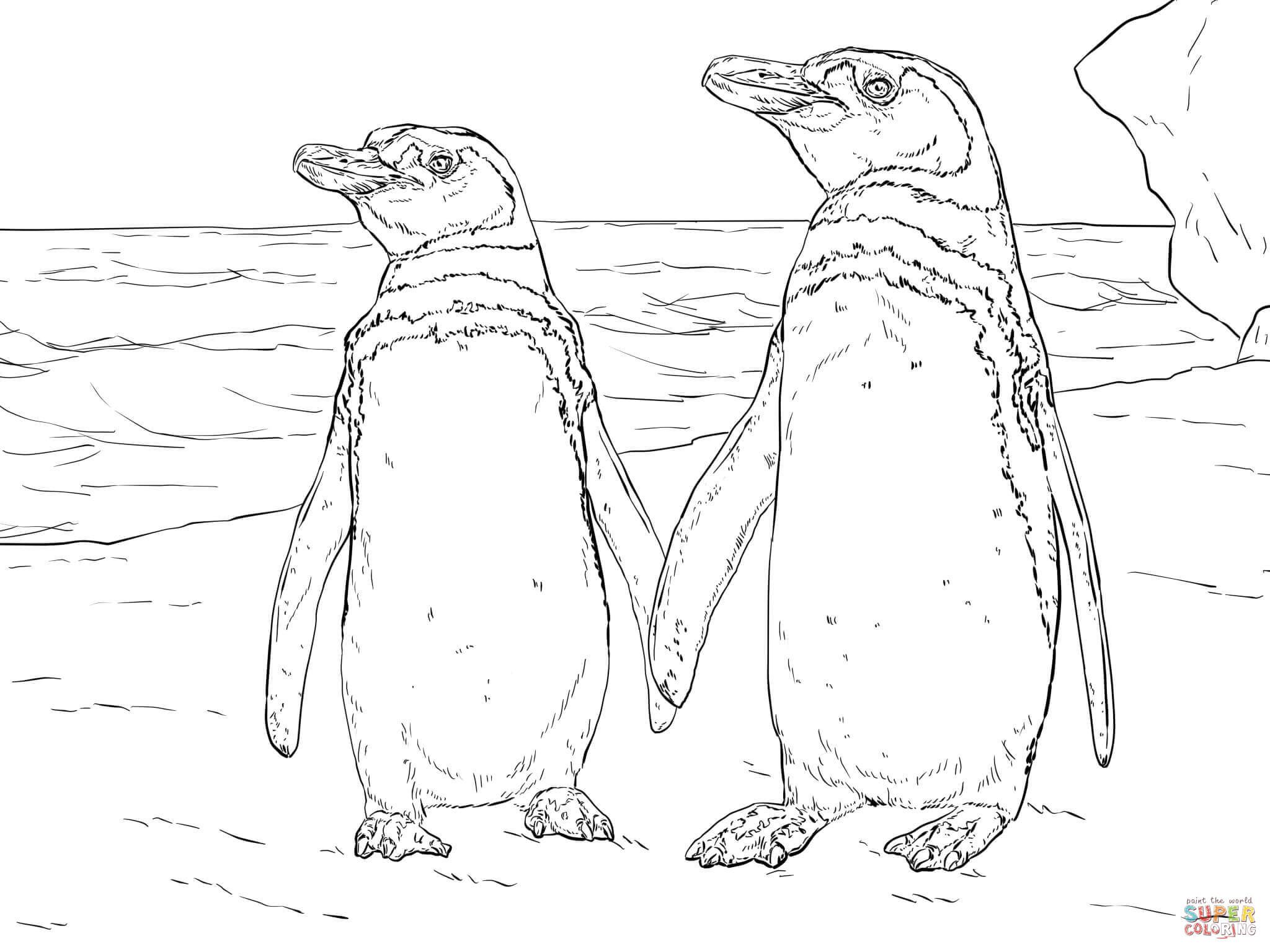 Çocuklar İçin Penguen Boyama Sayfaları 