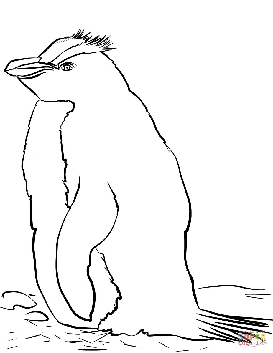 Çocuklar İçin Penguen Boyama Sayfaları 