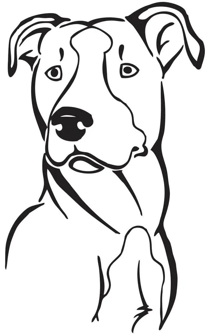 Çocuklar İçin Pitbull Boyama Sayfaları 