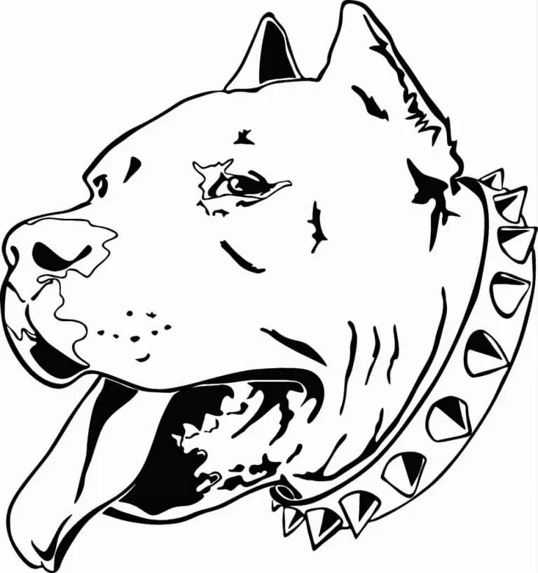 Çocuklar İçin Pitbull Boyama Sayfaları 