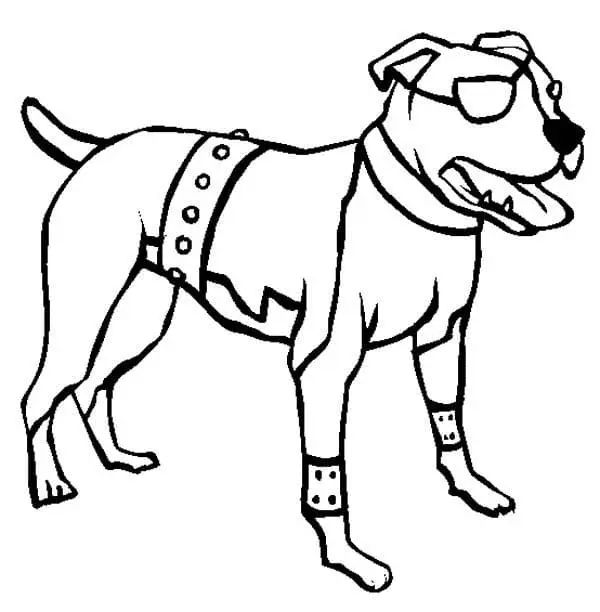Çocuklar İçin Pitbull Boyama Sayfaları 