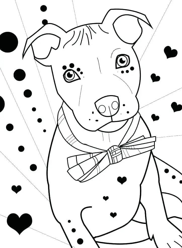 Çocuklar İçin Pitbull Boyama Sayfaları 