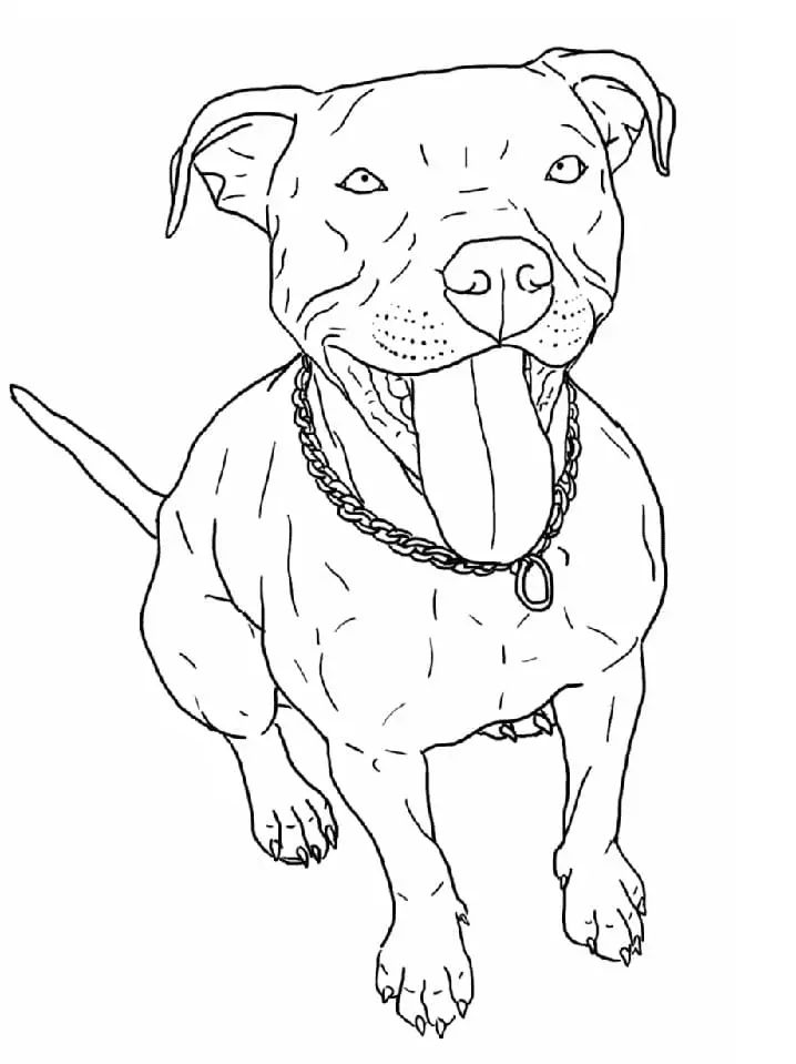 Çocuklar İçin Pitbull Boyama Sayfaları 