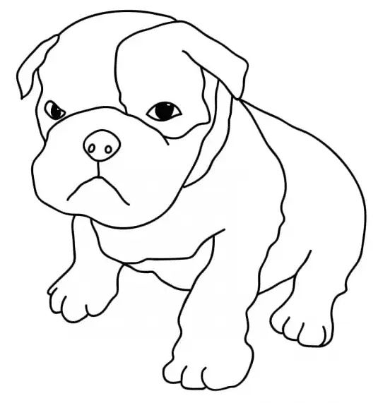 Çocuklar İçin Pitbull Boyama Sayfaları 