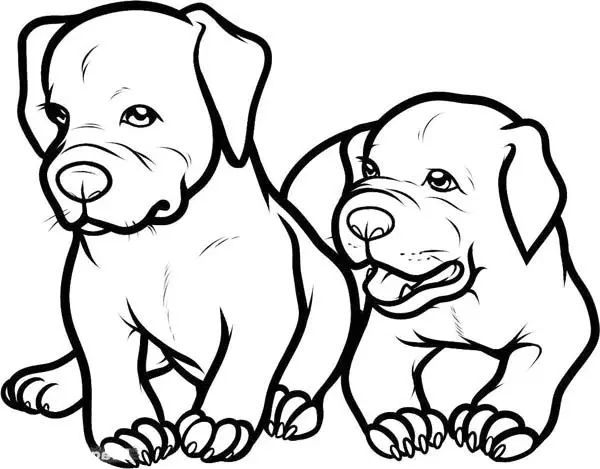 Çocuklar İçin Pitbull Boyama Sayfaları 