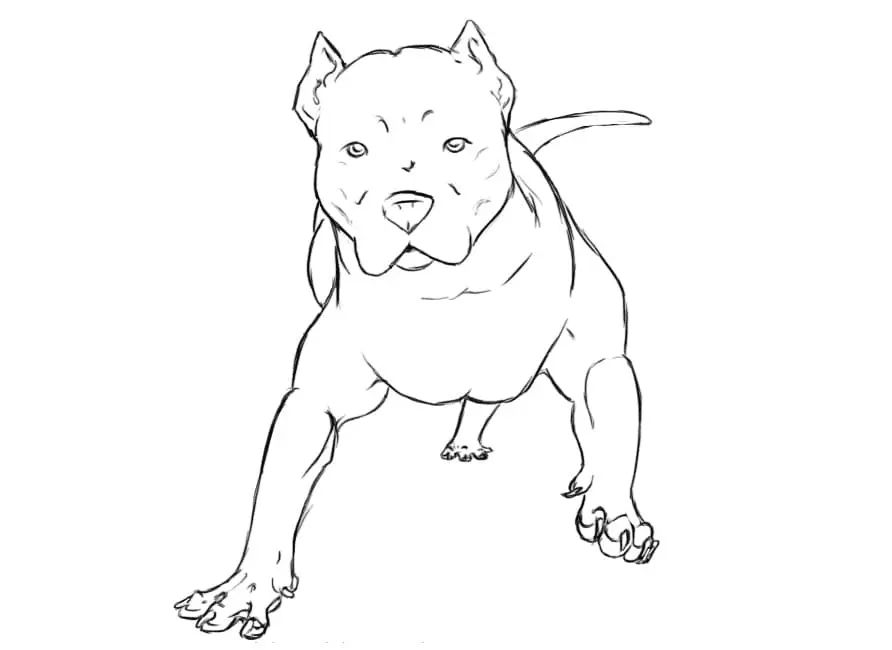 Çocuklar İçin Pitbull Boyama Sayfaları 