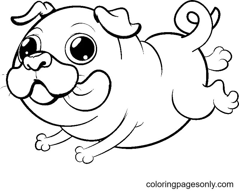 Çocuklar İçin Pug Boyama Sayfaları 