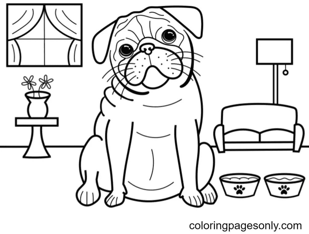 Çocuklar İçin Pug Boyama Sayfaları 