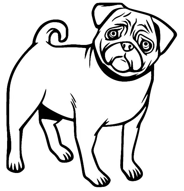 Çocuklar İçin Pug Boyama Sayfaları 