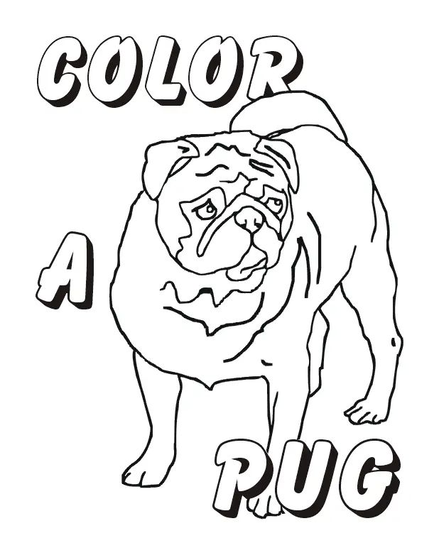 Çocuklar İçin Pug Boyama Sayfaları 