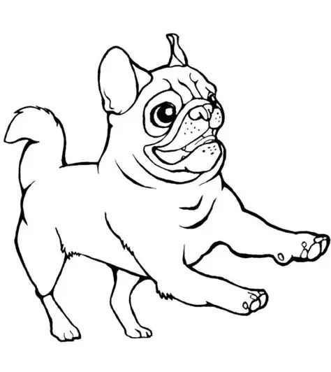 Çocuklar İçin Pug Boyama Sayfaları 