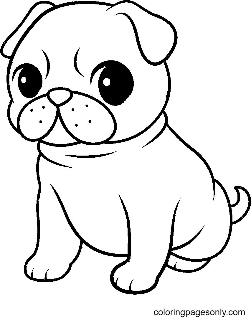 Çocuklar İçin Pug Boyama Sayfaları 