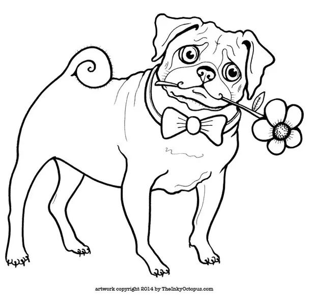 Çocuklar İçin Pug Boyama Sayfaları 