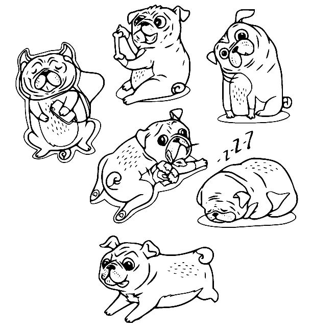 Çocuklar İçin Pug Boyama Sayfaları 