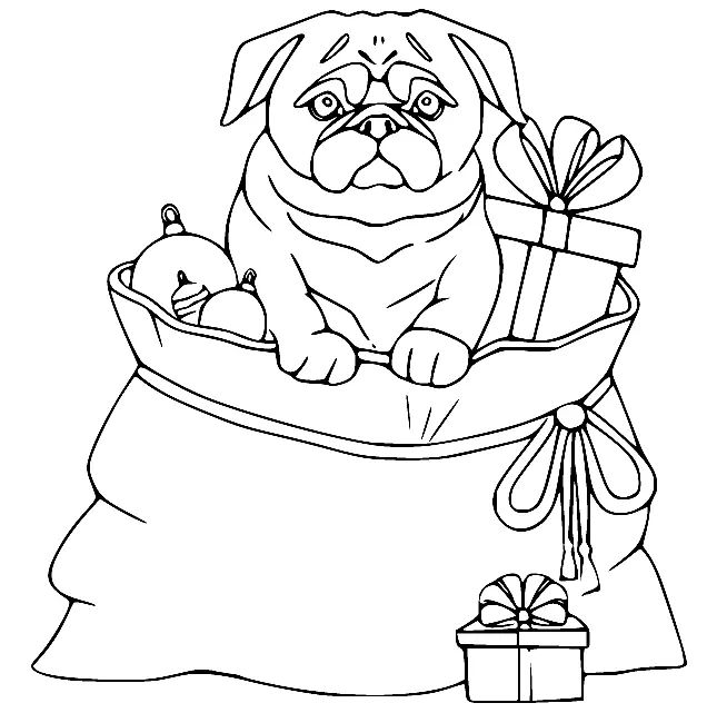 Çocuklar İçin Pug Boyama Sayfaları 