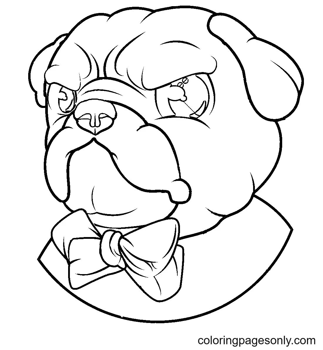 Çocuklar İçin Pug Boyama Sayfaları 