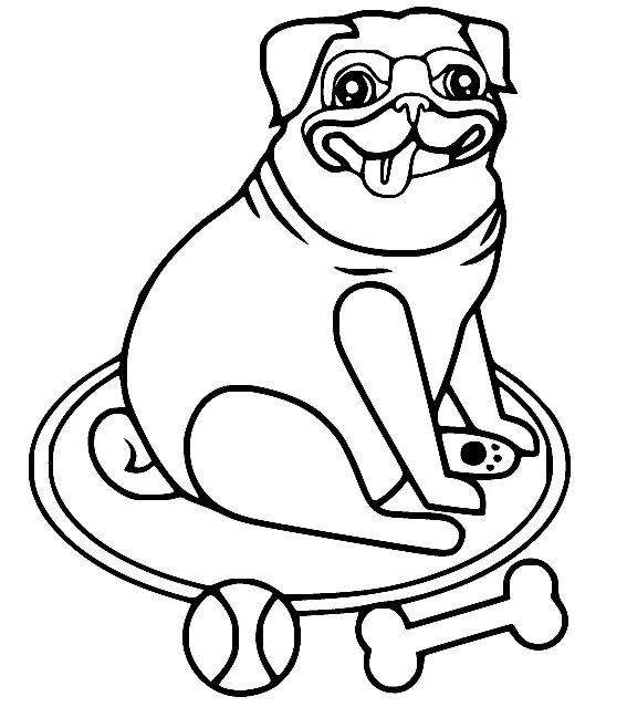 Çocuklar İçin Pug Boyama Sayfaları 