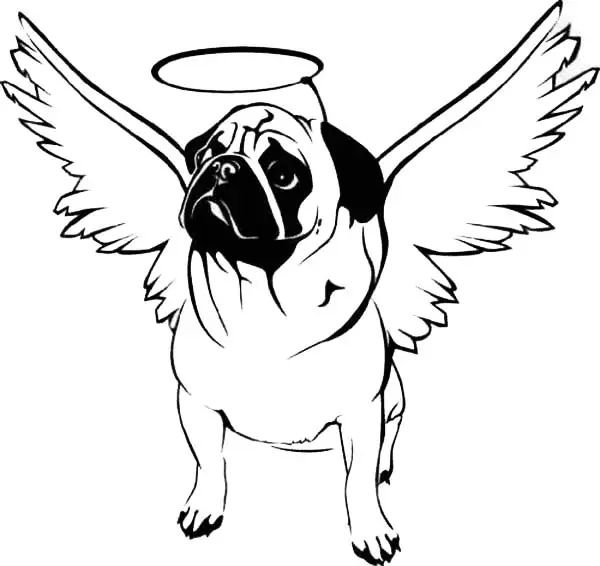 Çocuklar İçin Pug Boyama Sayfaları 