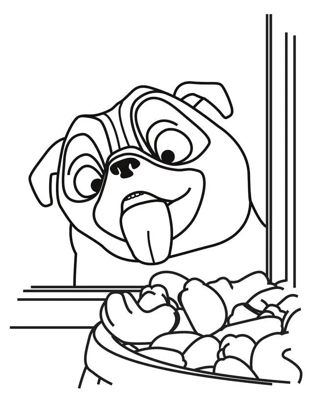 Çocuklar İçin Pug Boyama Sayfaları 