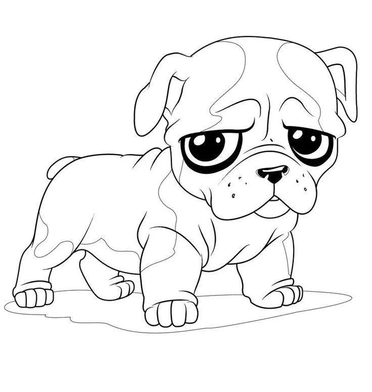 Çocuklar İçin Pug Boyama Sayfaları 